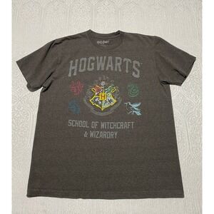 Harry Potter Hogwarts School of Witchcraft & Wizardry Graphic Tee Mens L Gray
